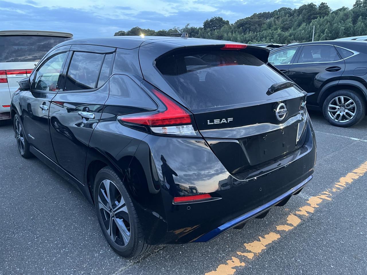 2019 Nissan Leaf