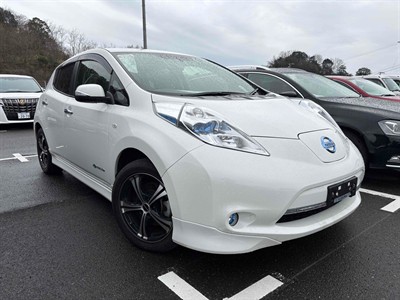 2014 Nissan Leaf - Thumbnail